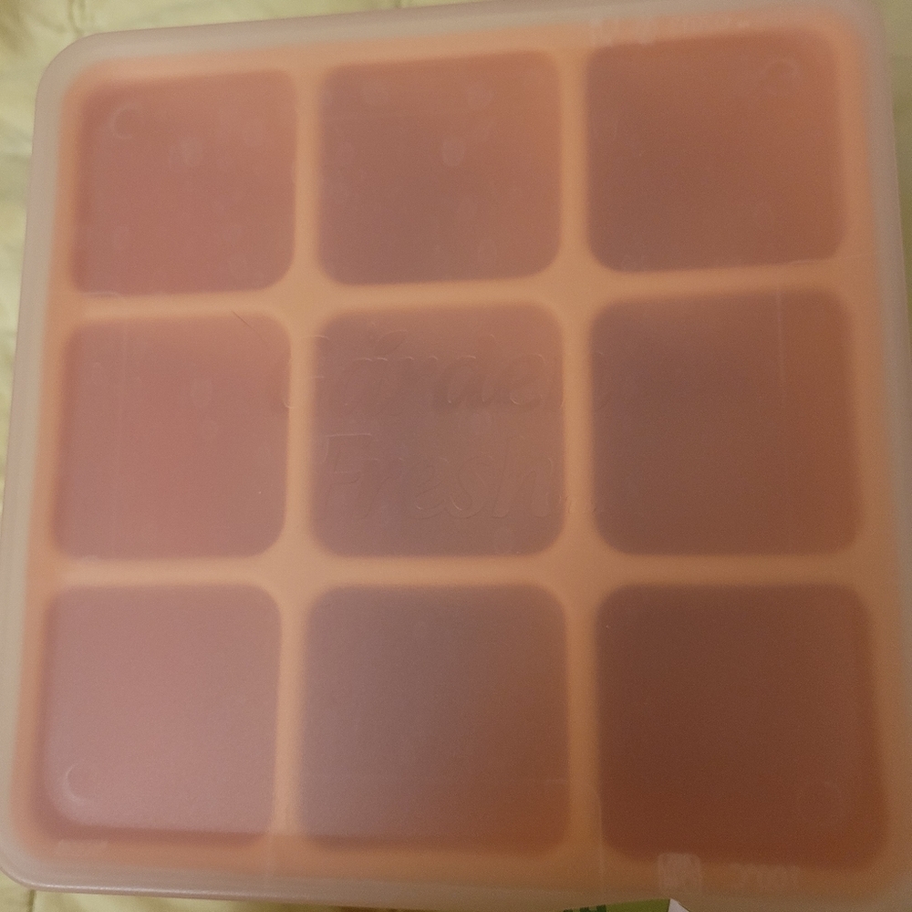 Nuby Garden Fresh Freezer Tray